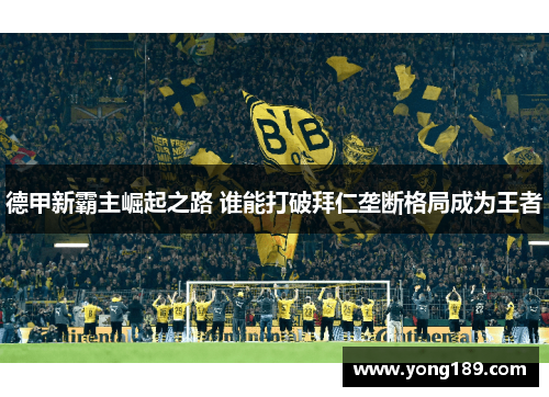 德甲新霸主崛起之路 谁能打破拜仁垄断格局成为王者