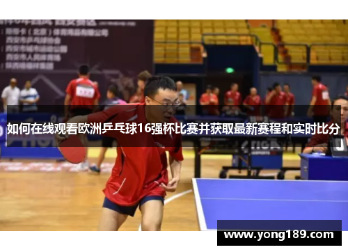 如何在线观看欧洲乒乓球16强杯比赛并获取最新赛程和实时比分