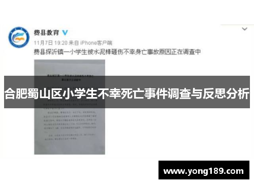 合肥蜀山区小学生不幸死亡事件调查与反思分析